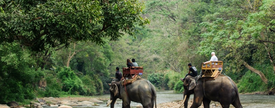 Program E1 Elephant camp